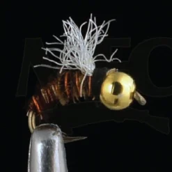 MFC Shop Flies Nyman's Shop Vac