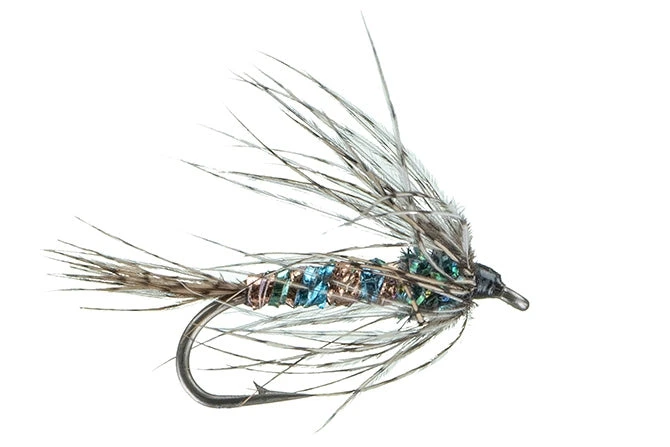 MFC Shop Flies Rowley's Rainbow Emerger 3 MFC Shop Flies Rowley's Rainbow Emerger