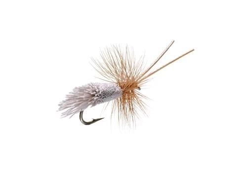 Umpqua Shop Flies Goddard Caddis 3 Umpqua Shop Flies Goddard Caddis