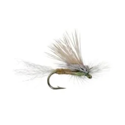 Umpqua Shop Flies E/C Caddis - Tan