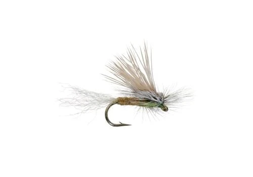Umpqua Shop Flies E/C Caddis - Tan 3 Umpqua Shop Flies E/C Caddis - Tan