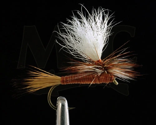 MFC Carlson's Copper Haze 3 MFC Carlson's Copper Haze