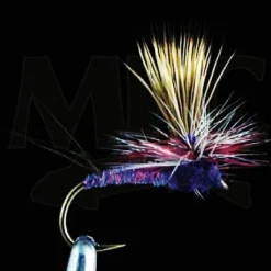 MFC Keller's Rocky Mountain Mint Purple