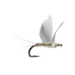 Umpqua No Hackle Gray/Yellow
