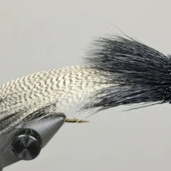 MFC Galloup's Zoo Cougar - Black