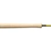 Rods Sage Pulse Switch Fly Rod