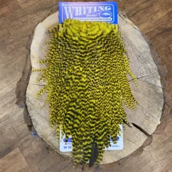 Whiting Freshwater Streamer Saddle - Schlappen/Bugger