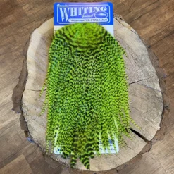 Whiting Freshwater Streamer Saddle - Schlappen/Bugger