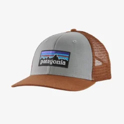 Hats Patagonia P-6 Logo Trucker Hat
