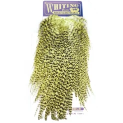 Hackle Whiting American Rooster Saddle