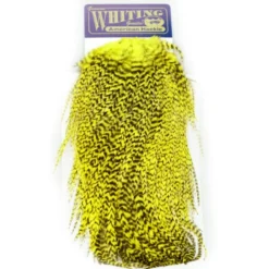 Hackle Whiting American Rooster Saddle