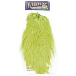Hackle Whiting American Rooster Saddle