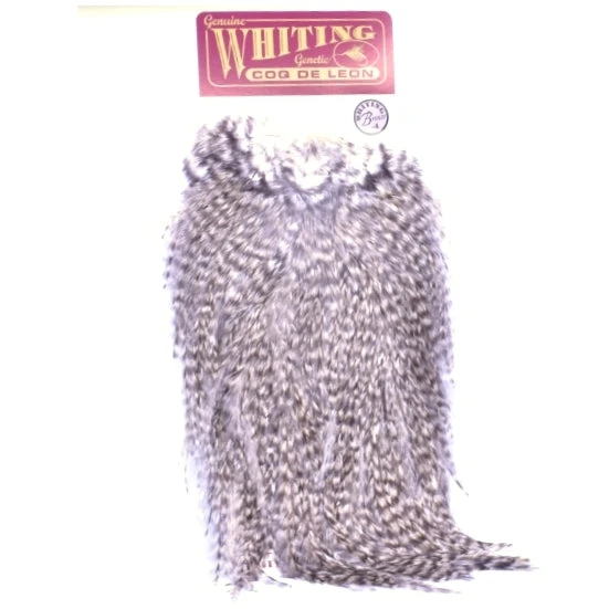 Whiting Coq De Leon Rooster Saddle - Bronze 3 Whiting Coq De Leon Rooster Saddle - Bronze