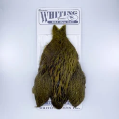 Whiting Brahma Hen Cape For Soft Hackles