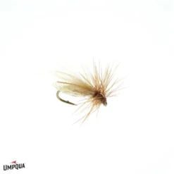 Umpqua Resting Caddis - Olive Shop Flies