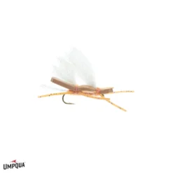 Umpqua Chubby Chernobyl UV Cinnamon Shop Flies