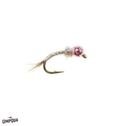 Umpqua Tungsten Rainbow Warrior - Pink Shop Flies