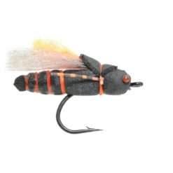 Fulling Mill Project Cicada