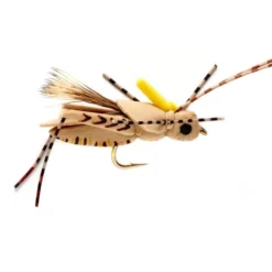 Fulling Mill Project Hopper Shop Flies