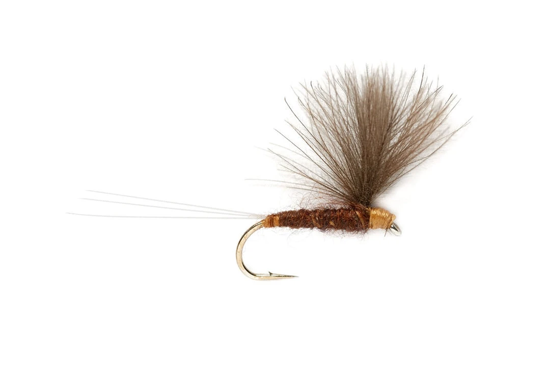 Fulling Mill V Wing Mahogany 3 Fulling Mill V Wing Mahogany