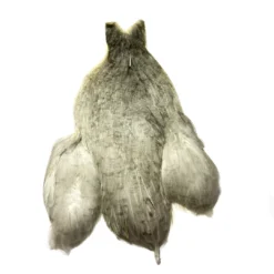 Whiting Bantam Hen Cape Hackle