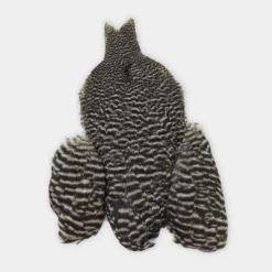 Whiting Winger Cape Hackle