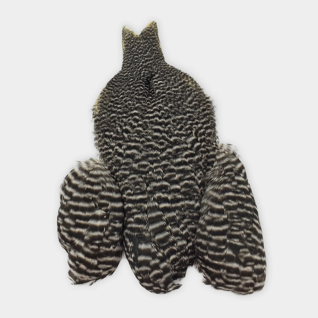 Whiting Winger Cape Hackle 3 Whiting Winger Cape Hackle