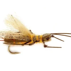 Fulling Mill Gee's Supafly Stone - Golden