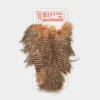Whiting Rooster Soft Hackle With Chickabou