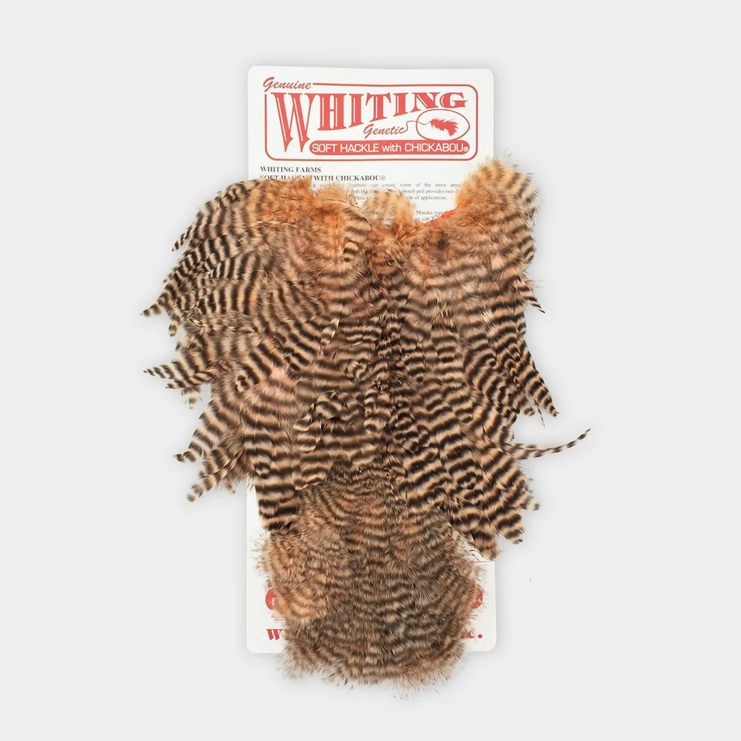 Whiting Rooster Soft Hackle With Chickabou 3 Whiting Rooster Soft Hackle With Chickabou