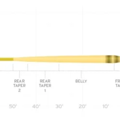 Scientific Anglers Amplitude Smooth Infinity Taper Fly Line - Standard