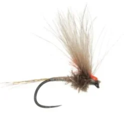Umpqua Antonio's Adult PMD