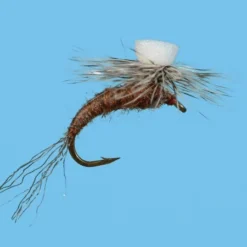 Solitude Brook's Sprout - Callibaetis Shop Flies