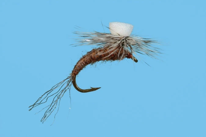 Solitude Brook's Sprout - Callibaetis Shop Flies 3 Solitude Brook's Sprout - Callibaetis Shop Flies