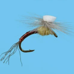 Solitude Brook's Sprout - PMD