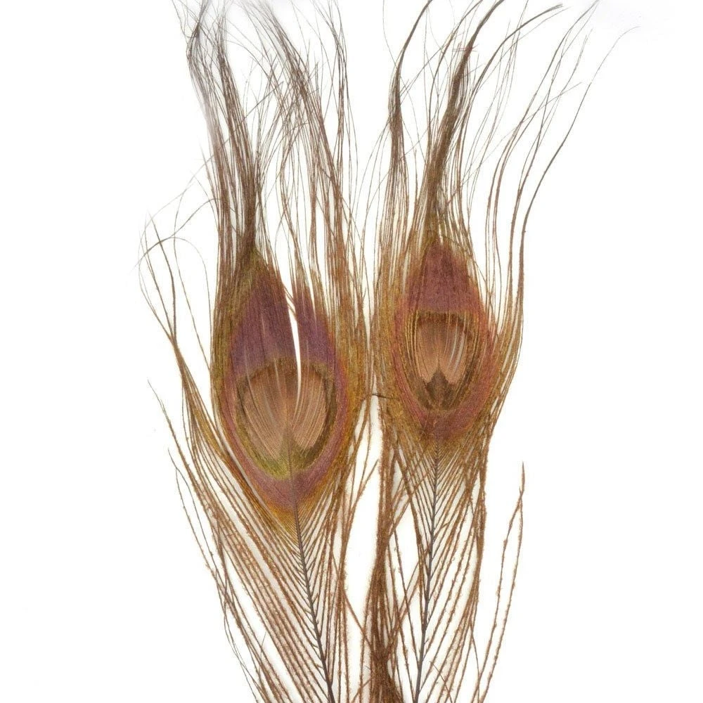 Nature's Spirit Bleached Dyed Peacock Sticks 3 Nature's Spirit Bleached Dyed Peacock Sticks