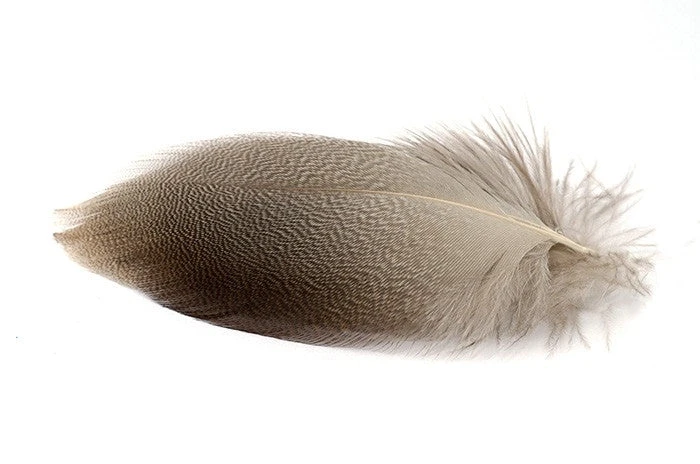 Nature's Spirit Bronze Mallard - 3 Jumbo Pairs Feathers & Marabou 3 Nature's Spirit Bronze Mallard - 3 Jumbo Pairs Feathers & Marabou