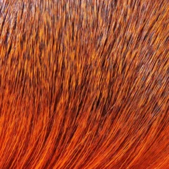 Hareline Hair & Fur Dyed Deer Body Hair 26 Hareline Hair & Fur Dyed Deer Body Hair