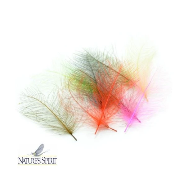 Nature's Spirit CDC 3 Nature's Spirit CDC