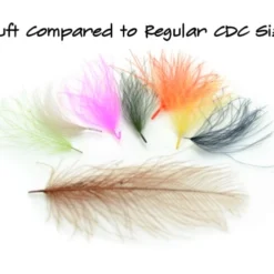 Nature's Spirit CDC Tufts