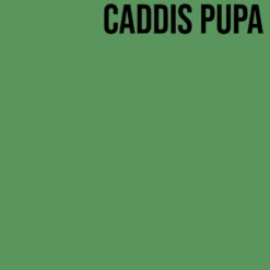 SemperFli Kapok Dry Fly Dubbing