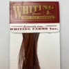 Whiting 100 Pack Dry Fly Hackle - Coachman Brown - 12