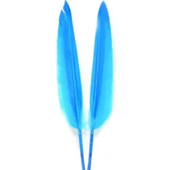 Feathers & Marabou Nature's Spirit Duck Quills