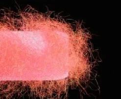 Nature's Spirit Sybai Fine Diamond Dubbing