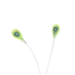 Hareline Epoxy Mono Crab Or Shrimp Eyes