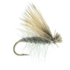 Umpqua Shop Flies Elk Caddis Dun
