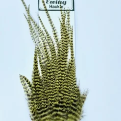 Wapsi Hackle Ewing Wooly Bugger Patch