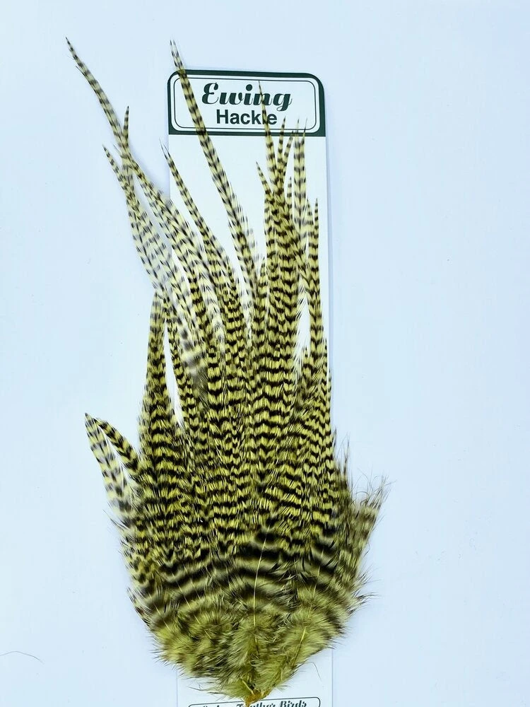 Wapsi Hackle Ewing Wooly Bugger Patch 3 Wapsi Hackle Ewing Wooly Bugger Patch