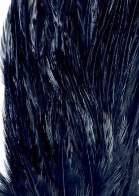 Wapsi Hackle Ewing Wooly Bugger Patch 10 Wapsi Hackle Ewing Wooly Bugger Patch