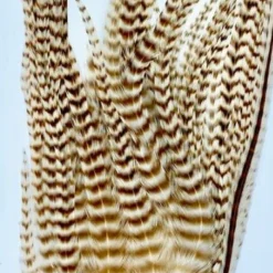 Wapsi Hackle Ewing Wooly Bugger Patch